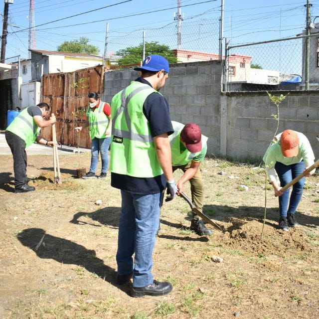 Team members planting a tree in Mexico
