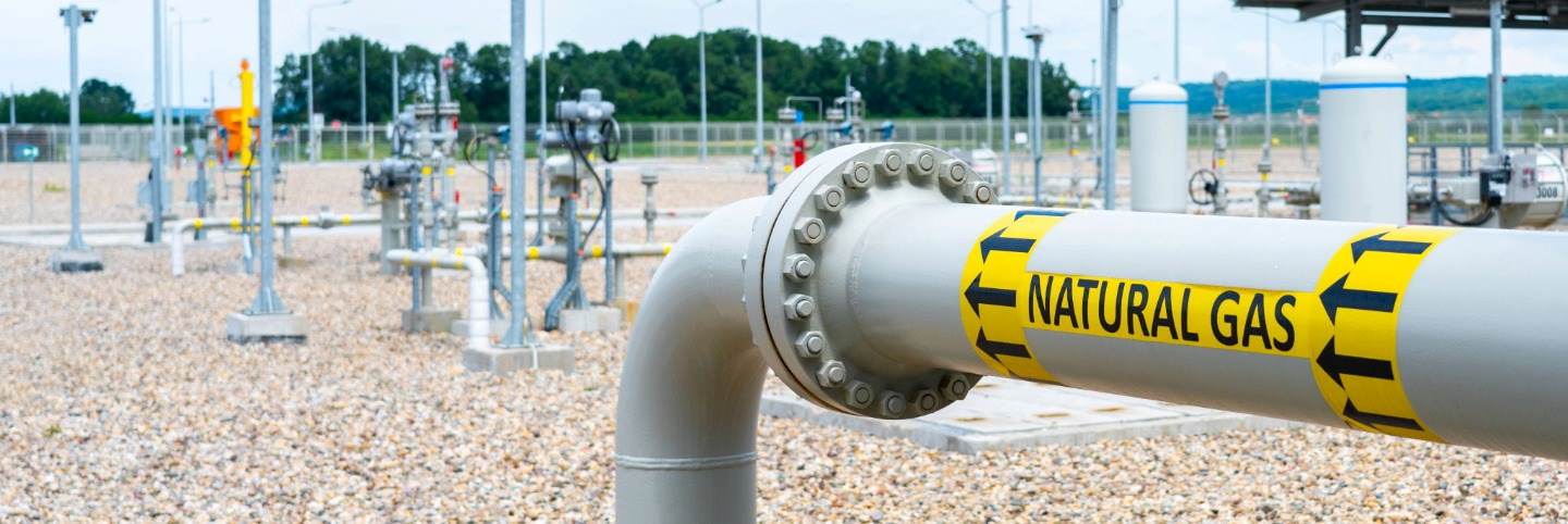 Natural gas compressor station