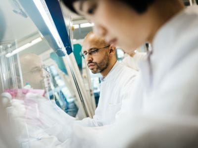 technician working in a medical lab