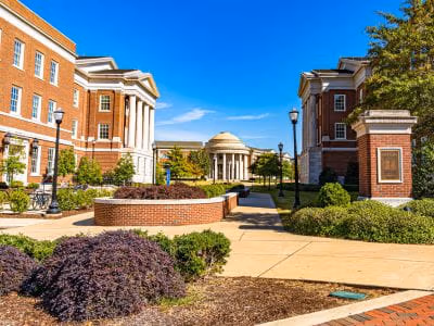 picture of a university campus on a sunny day