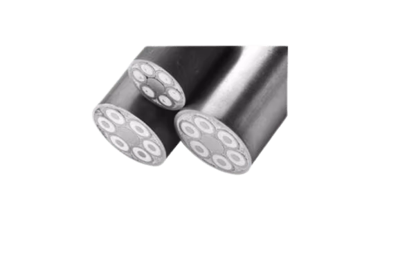 Cartridge heater product image: MaxiZone® Multi-cell high temperature cartridge heaters