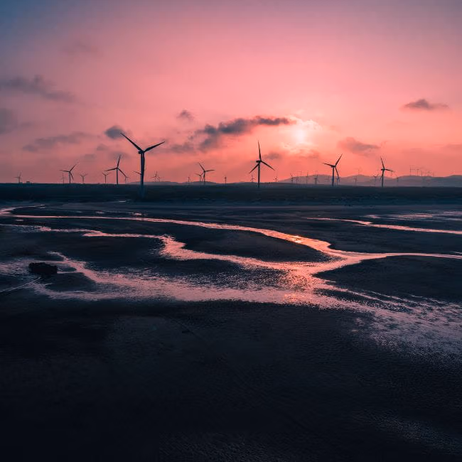 wind turbines with the sun setting in the background